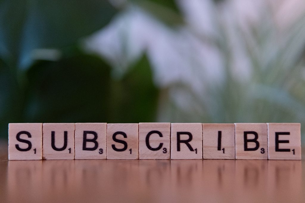 The scammer stole the domain and transferred it to “Internetbs”