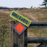 SEO in a website designer’s head vs. SEO in reality